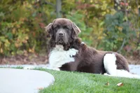 processed/b16fbb1b-ebee-4253-ae00-c5965cd92630/facility/3f1423bd-3b3e-400f-8543-d066c9adf080