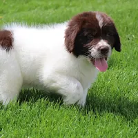 processed/b16fbb1b-ebee-4253-ae00-c5965cd92630/facility/4220932b-5929-4f1e-b605-87030f1ecf96