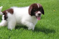 processed/b16fbb1b-ebee-4253-ae00-c5965cd92630/facility/4220932b-5929-4f1e-b605-87030f1ecf96