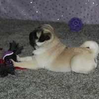 processed/b16fbb1b-ebee-4253-ae00-c5965cd92630/facility/690ae29b-34e2-4f35-aa69-9eb74b120ae2