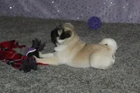 processed/b16fbb1b-ebee-4253-ae00-c5965cd92630/facility/690ae29b-34e2-4f35-aa69-9eb74b120ae2