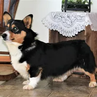 processed/b16fbb1b-ebee-4253-ae00-c5965cd92630/facility/ac96568e-f659-480d-981d-4c5b59d5943c