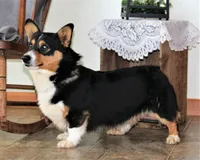 processed/b16fbb1b-ebee-4253-ae00-c5965cd92630/facility/ac96568e-f659-480d-981d-4c5b59d5943c