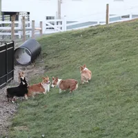 processed/b16fbb1b-ebee-4253-ae00-c5965cd92630/facility/b1ea1ea4-be3a-4986-a1ba-397091742c47