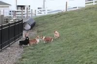 processed/b16fbb1b-ebee-4253-ae00-c5965cd92630/facility/b1ea1ea4-be3a-4986-a1ba-397091742c47