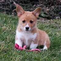 processed/b16fbb1b-ebee-4253-ae00-c5965cd92630/facility/c0a4dab9-9fdc-4c30-a90a-3335d4cc3bb2