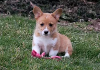 processed/b16fbb1b-ebee-4253-ae00-c5965cd92630/facility/c0a4dab9-9fdc-4c30-a90a-3335d4cc3bb2