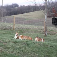 processed/b16fbb1b-ebee-4253-ae00-c5965cd92630/facility/e9dc35ee-4684-47a7-89b0-f36d22bd01ee