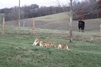 processed/b16fbb1b-ebee-4253-ae00-c5965cd92630/facility/e9dc35ee-4684-47a7-89b0-f36d22bd01ee