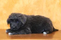 processed/b16fbb1b-ebee-4253-ae00-c5965cd92630/listing/1661090f-7c85-4674-b352-5848a20f408f/21535bc3-5a38-4b4d-b98b-4763e56dbb11