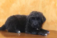 processed/b16fbb1b-ebee-4253-ae00-c5965cd92630/listing/1661090f-7c85-4674-b352-5848a20f408f/7bb9597a-b530-4e13-998e-ca6c7a3583dc