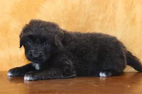 processed/b16fbb1b-ebee-4253-ae00-c5965cd92630/listing/1661090f-7c85-4674-b352-5848a20f408f/8c8f994e-f6eb-4e3d-933c-e722fa9f45eb