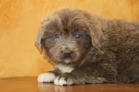 processed/b16fbb1b-ebee-4253-ae00-c5965cd92630/listing/409a5ac1-93a7-4d94-bc1f-df4bcd5777e5/2f0afc87-6b33-40ca-9ef6-c6668a8aa030