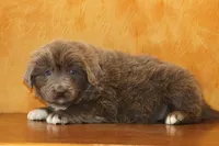 processed/b16fbb1b-ebee-4253-ae00-c5965cd92630/listing/409a5ac1-93a7-4d94-bc1f-df4bcd5777e5/37a52e0f-ae3e-461c-8fe4-5c5c463134cb