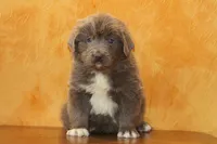 processed/b16fbb1b-ebee-4253-ae00-c5965cd92630/listing/409a5ac1-93a7-4d94-bc1f-df4bcd5777e5/a79d5995-b39b-43cd-b34c-273da0b57e87