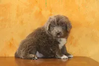 processed/b16fbb1b-ebee-4253-ae00-c5965cd92630/listing/409a5ac1-93a7-4d94-bc1f-df4bcd5777e5/f2b1e1ef-43db-45ae-8496-927aa8ca34fe