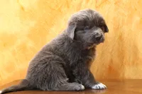 processed/b16fbb1b-ebee-4253-ae00-c5965cd92630/listing/4811c10c-c71d-4125-a6b4-d1edbec64355/24060a76-d756-4277-9840-8e9e60bff5d3