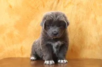 processed/b16fbb1b-ebee-4253-ae00-c5965cd92630/listing/4811c10c-c71d-4125-a6b4-d1edbec64355/3547f120-e887-48f4-99f3-e44740392141