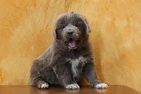 processed/b16fbb1b-ebee-4253-ae00-c5965cd92630/listing/4811c10c-c71d-4125-a6b4-d1edbec64355/71b71b8e-b7c1-4e64-a538-11465479c3e7