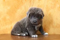 processed/b16fbb1b-ebee-4253-ae00-c5965cd92630/listing/4811c10c-c71d-4125-a6b4-d1edbec64355/909525de-2403-40c2-a1e6-537731ca6387