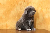 processed/b16fbb1b-ebee-4253-ae00-c5965cd92630/listing/4811c10c-c71d-4125-a6b4-d1edbec64355/ed56ad8f-45ed-4f02-822a-7cb65c8207ec