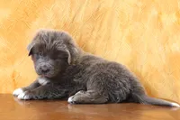 processed/b16fbb1b-ebee-4253-ae00-c5965cd92630/listing/4811c10c-c71d-4125-a6b4-d1edbec64355/f924746d-e9e3-4806-b761-aa0fe4b0938d