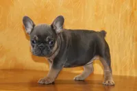 processed/b16fbb1b-ebee-4253-ae00-c5965cd92630/listing/616e37c7-aafb-4fd9-961a-4cfc35b1fde1/1cb23553-f99a-4295-9e0a-dfc04c463a24