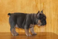 processed/b16fbb1b-ebee-4253-ae00-c5965cd92630/listing/616e37c7-aafb-4fd9-961a-4cfc35b1fde1/32623c56-e562-46a3-a4b3-03cd643e8e88