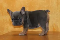 processed/b16fbb1b-ebee-4253-ae00-c5965cd92630/listing/616e37c7-aafb-4fd9-961a-4cfc35b1fde1/72e3d29b-575d-4ac9-ae7f-8e34681408cd