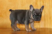 processed/b16fbb1b-ebee-4253-ae00-c5965cd92630/listing/616e37c7-aafb-4fd9-961a-4cfc35b1fde1/c6572a4a-0f93-4438-995e-f44a5f4d17f7