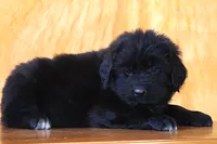 processed/b16fbb1b-ebee-4253-ae00-c5965cd92630/listing/a0d59df2-7213-44d3-b2cd-9fd5355abf52/0b03ea6b-1087-4924-a2ac-1ea4834a05f6