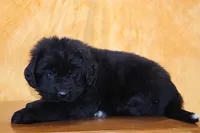 processed/b16fbb1b-ebee-4253-ae00-c5965cd92630/listing/a0d59df2-7213-44d3-b2cd-9fd5355abf52/49ea3025-a878-4847-a4ca-139785f42ed0