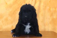 processed/b16fbb1b-ebee-4253-ae00-c5965cd92630/listing/a0d59df2-7213-44d3-b2cd-9fd5355abf52/5917c62a-a367-4387-af76-c56232612c34