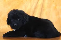 processed/b16fbb1b-ebee-4253-ae00-c5965cd92630/listing/a0d59df2-7213-44d3-b2cd-9fd5355abf52/5eebe3e8-d9fd-49c7-8e27-f8d5a11c2ee4