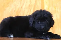 processed/b16fbb1b-ebee-4253-ae00-c5965cd92630/listing/a0d59df2-7213-44d3-b2cd-9fd5355abf52/76f32107-7eca-488f-944f-3e31f00ff3f5