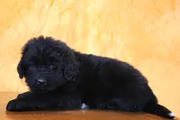 processed/b16fbb1b-ebee-4253-ae00-c5965cd92630/listing/a0d59df2-7213-44d3-b2cd-9fd5355abf52/ace9d12a-37cc-4719-b0b0-af55f84c5d09