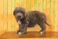 processed/b16fbb1b-ebee-4253-ae00-c5965cd92630/listing/cf261e68-80c3-4109-8c70-9e859a0aee45/57577b3a-90a5-41b7-a94c-8fccc81d6ee7