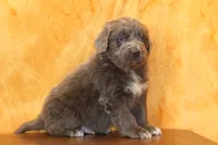 processed/b16fbb1b-ebee-4253-ae00-c5965cd92630/listing/cf261e68-80c3-4109-8c70-9e859a0aee45/6b02245b-40da-460a-bdf8-f3691138c8e9