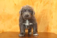 processed/b16fbb1b-ebee-4253-ae00-c5965cd92630/listing/cf261e68-80c3-4109-8c70-9e859a0aee45/ac6cba0b-a7c9-4c68-a243-8e3c40892d80