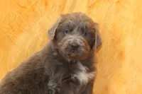 processed/b16fbb1b-ebee-4253-ae00-c5965cd92630/listing/cf261e68-80c3-4109-8c70-9e859a0aee45/ba992105-dd3f-4e15-904a-4bd3f8addccd