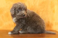 processed/b16fbb1b-ebee-4253-ae00-c5965cd92630/listing/cf261e68-80c3-4109-8c70-9e859a0aee45/f4f10150-0e3d-4480-9d4a-a7498e34e02f