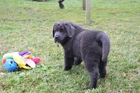 processed/b16fbb1b-ebee-4253-ae00-c5965cd92630/listing/dbbd43d7-1fa3-407f-9d5f-831c04be834d/022d593f-3232-4955-a6aa-b89f86456643