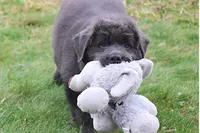 processed/b16fbb1b-ebee-4253-ae00-c5965cd92630/listing/dbbd43d7-1fa3-407f-9d5f-831c04be834d/557dea5d-85c1-455b-b18c-4cf66d29a1ad