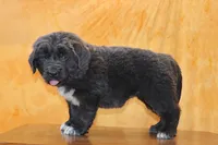 processed/b16fbb1b-ebee-4253-ae00-c5965cd92630/listing/f48e5e5d-874a-41be-b83c-e9f409359af3/08e11907-3249-409b-95d1-1fb49e62d271