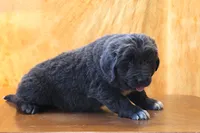 processed/b16fbb1b-ebee-4253-ae00-c5965cd92630/listing/f48e5e5d-874a-41be-b83c-e9f409359af3/c11be690-2115-4d50-b9e2-34975687dcb2