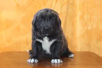 processed/b16fbb1b-ebee-4253-ae00-c5965cd92630/listing/f48e5e5d-874a-41be-b83c-e9f409359af3/d0613d15-0aff-4cc4-928a-ee902ef6f7fa