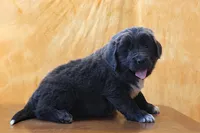 processed/b16fbb1b-ebee-4253-ae00-c5965cd92630/listing/f48e5e5d-874a-41be-b83c-e9f409359af3/dc3faeab-f432-4cec-8615-9d267abef2f7