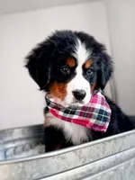 processed/b17120f9-3ad4-46f7-90b4-a4c35cf14795/facility/085913de-ca3d-42c0-a3c9-735f30f989d5