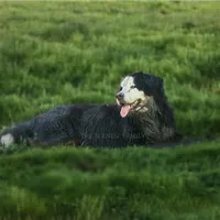 processed/b17120f9-3ad4-46f7-90b4-a4c35cf14795/facility/11a8b5bf-d095-4cf5-8783-272312826e0e