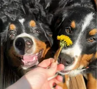 processed/b17120f9-3ad4-46f7-90b4-a4c35cf14795/facility/3f3d99b5-ffaf-48dd-8323-20f7fd9125d3